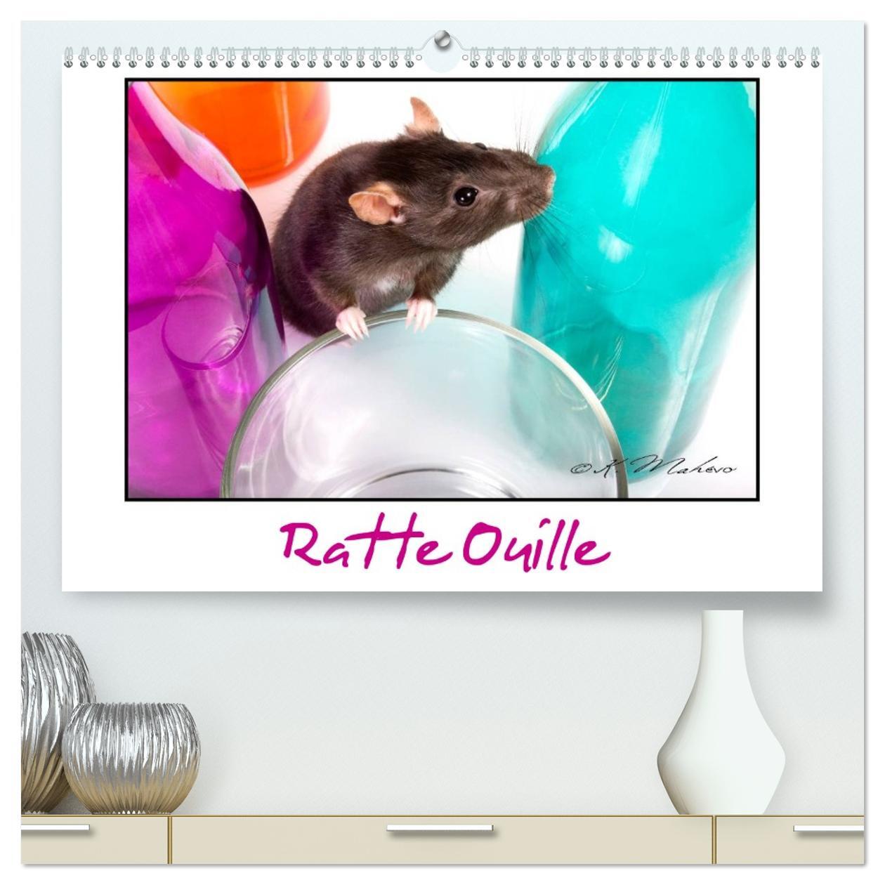 Ratte Ouille  (Calendrier mural 2026 DIN A2 vertical) calendrier de bureau