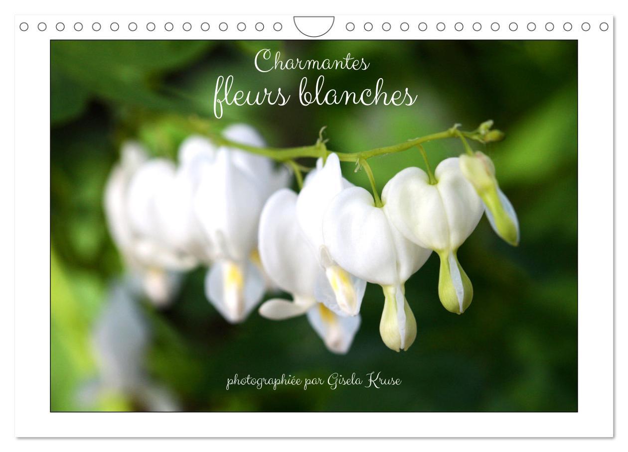Charmantes fleurs blanches (Calendrier mural 2026 DIN A4 vertical), CALVENDO calendrier mensuel