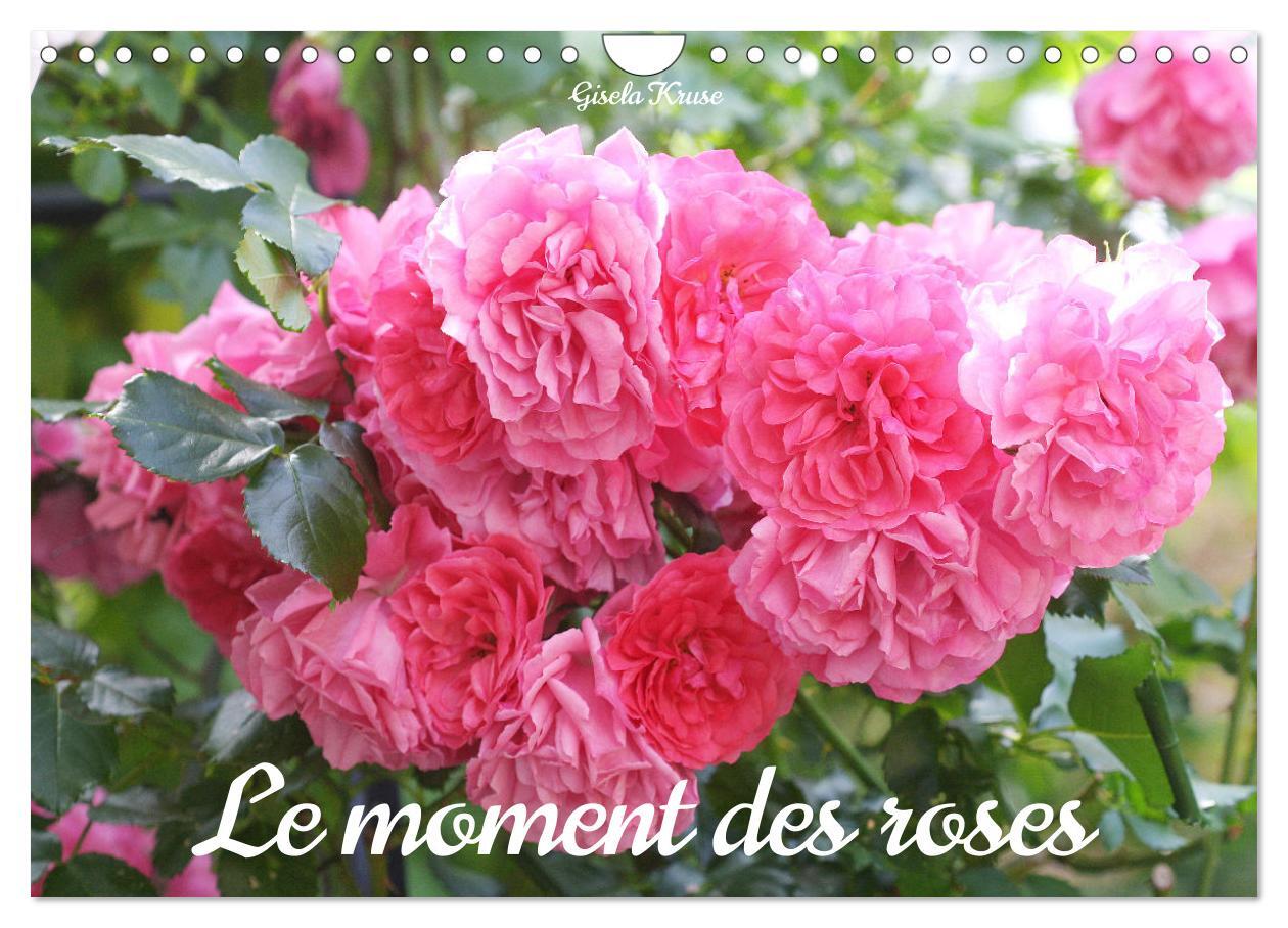 Le moment des roses (Calendrier mural 2026 DIN A4 vertical), CALVENDO calendrier mensuel