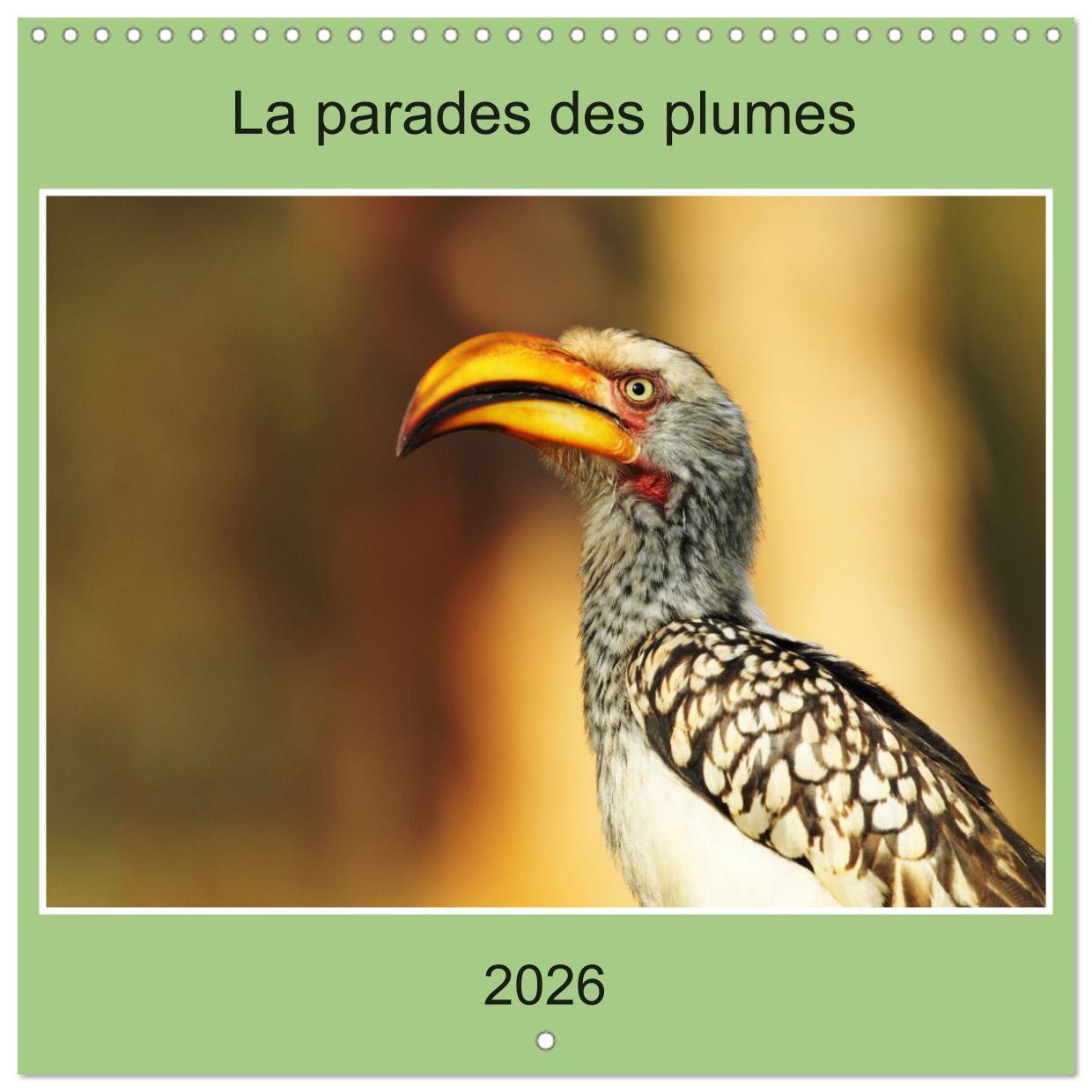 La parade des plumes (Calendrier mural carré 2026 30x30 cm) Calendrier double avec une page pour vos prises de notes