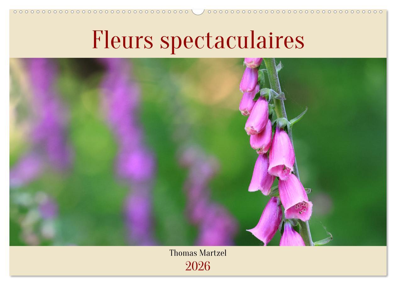 Les spectaculaires fleurs du jardin et d'ailleurs (Calendrier mural 2026 DIN A2 vertical), CALVENDO calendrier mensuel