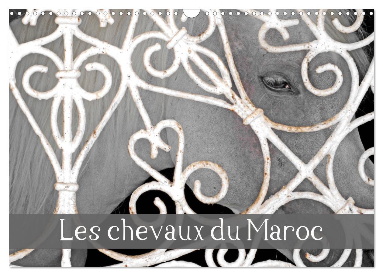 Les chevaux du Maroc (Calendrier mural 2026 DIN A3 vertical), CALVENDO calendrier mensuel