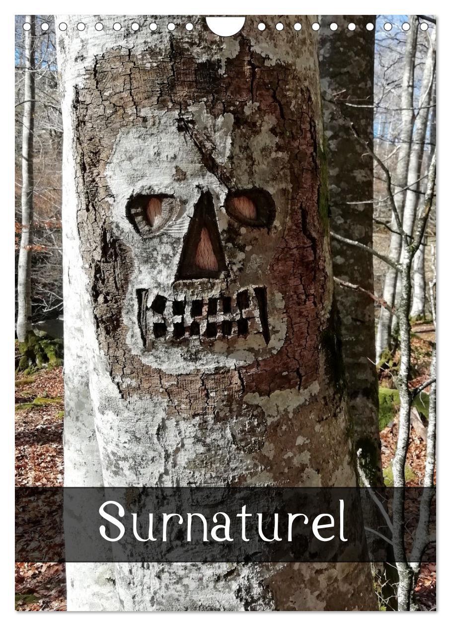 Surnaturel (Calendrier mural 2026 DIN A4 horizontal), CALVENDO calendrier mensuel