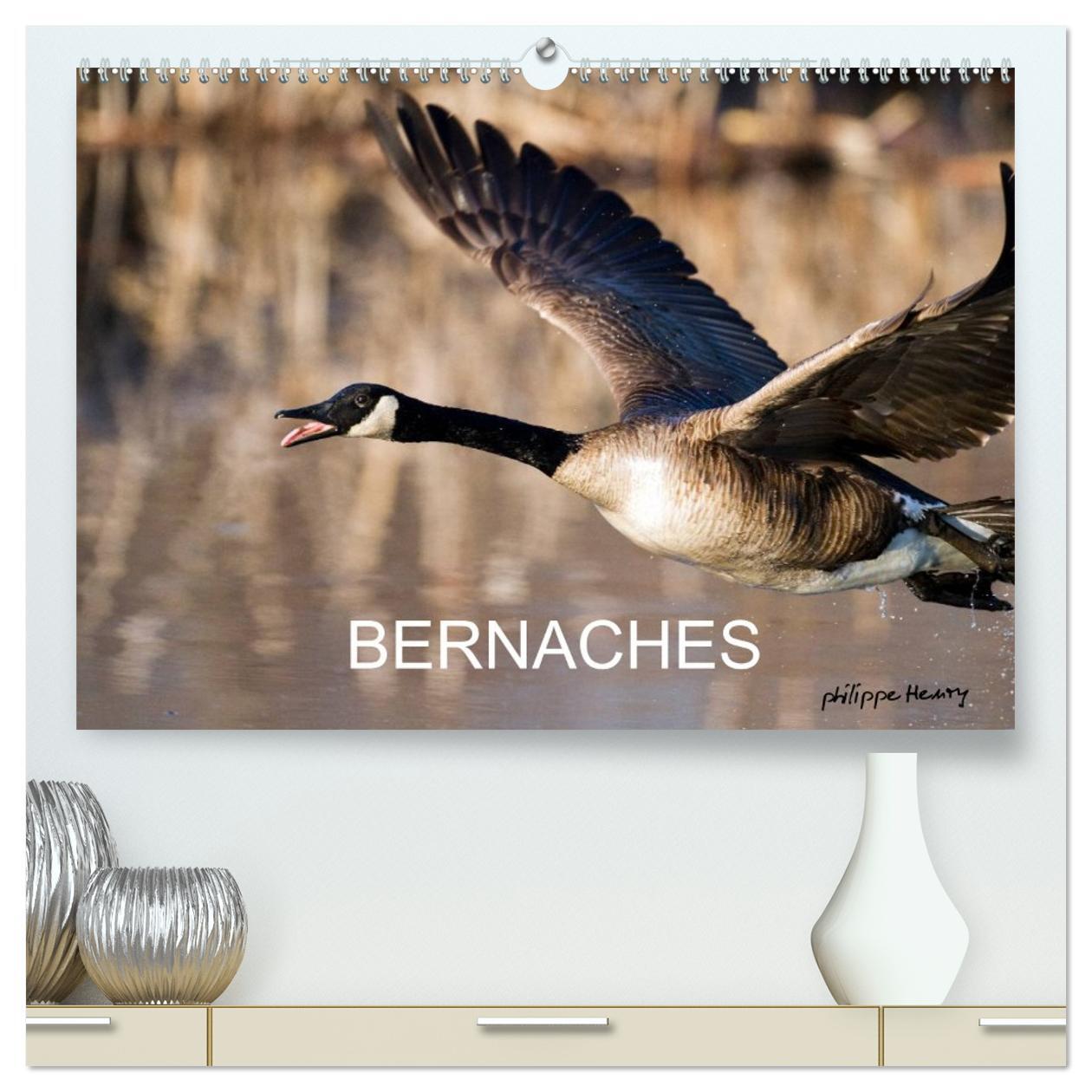 BERNACHES  (Calendrier mural 2026 DIN A2 vertical) calendrier de bureau