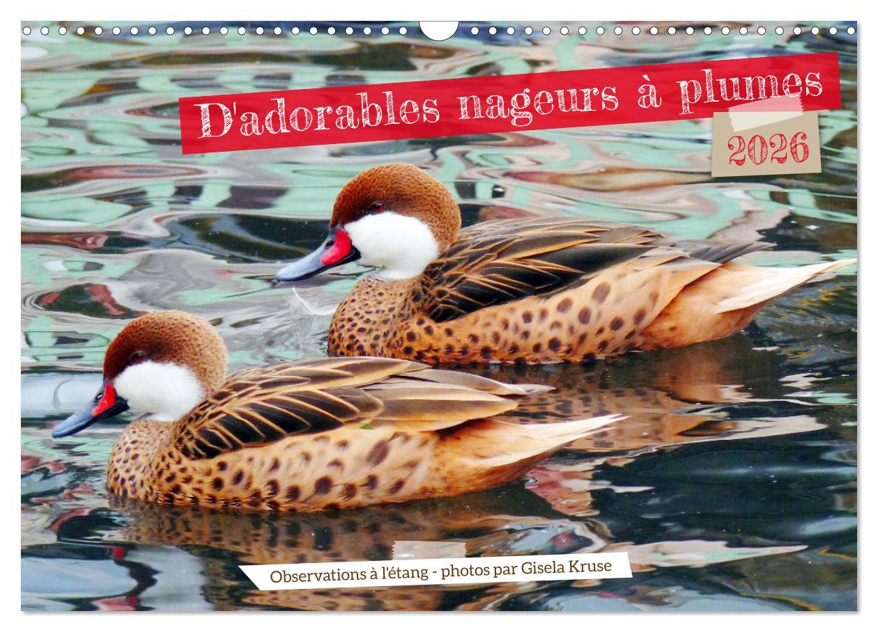 D'adorables nageurs à plumes (Calendrier mural 2026 DIN A3 vertical), CALVENDO calendrier mensuel