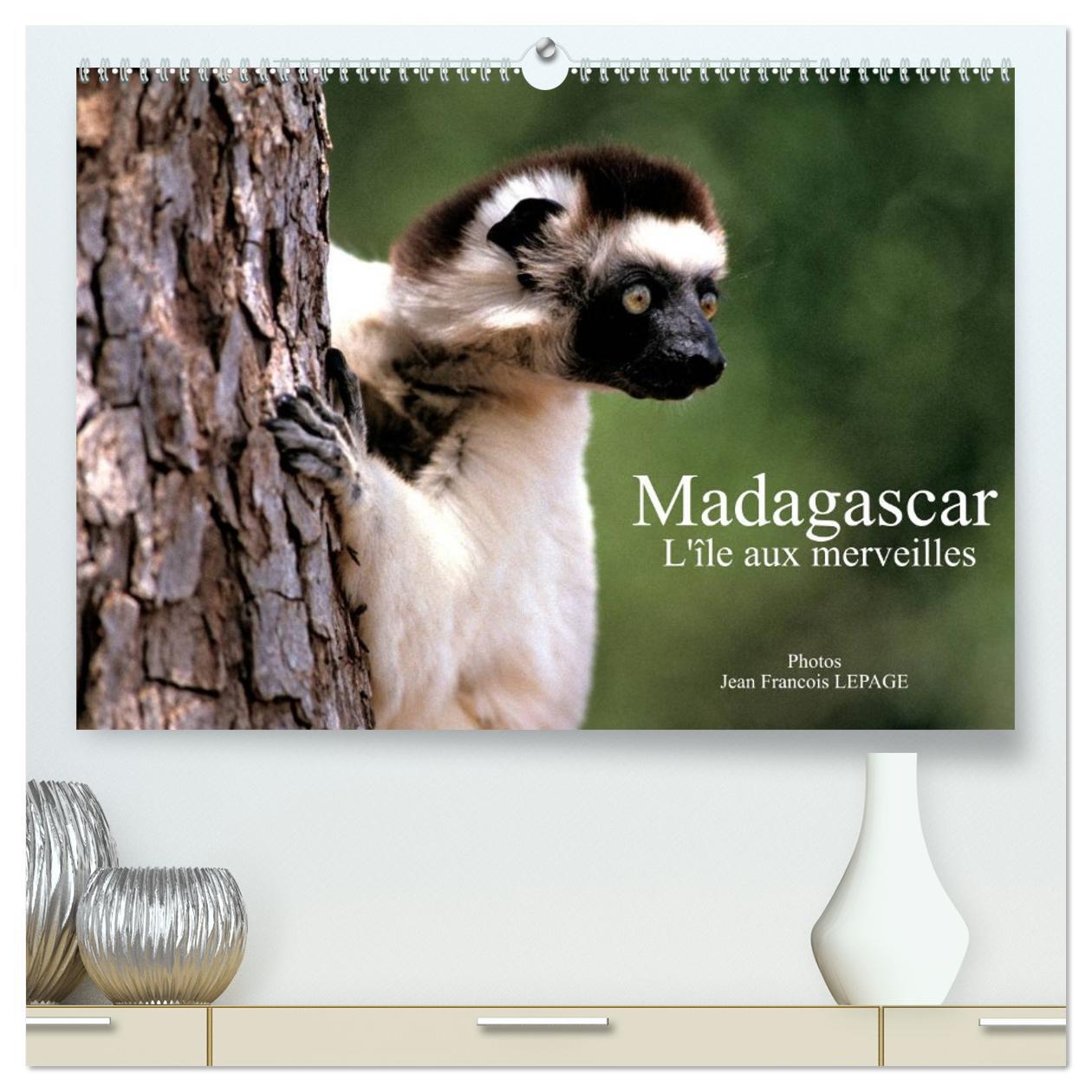 Madagascar L'île aux merveilles  (Calendrier mural 2026 DIN A2 vertical) calendrier de bureau