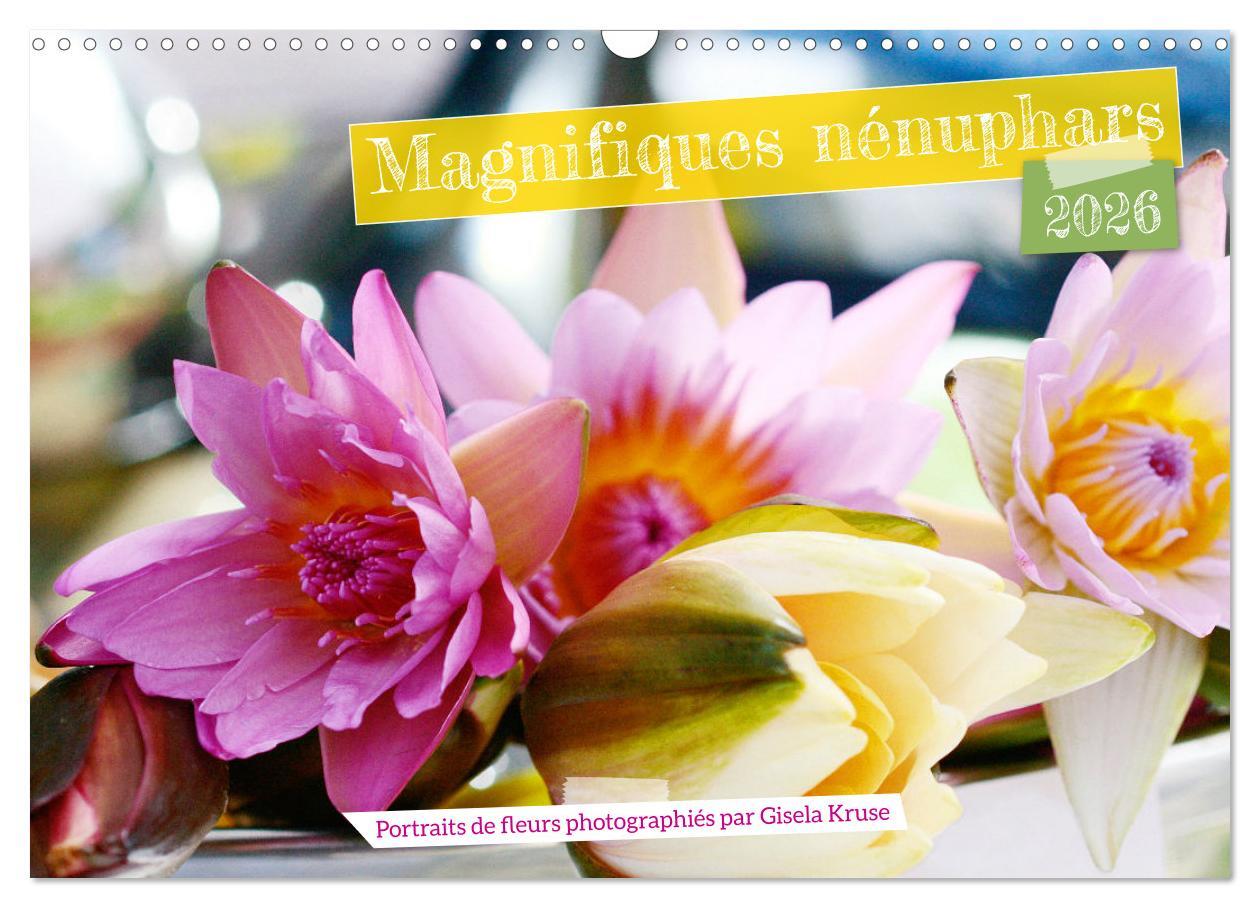 Magnifiques nénuphars (Calendrier mural 2026 DIN A3 vertical), CALVENDO calendrier mensuel