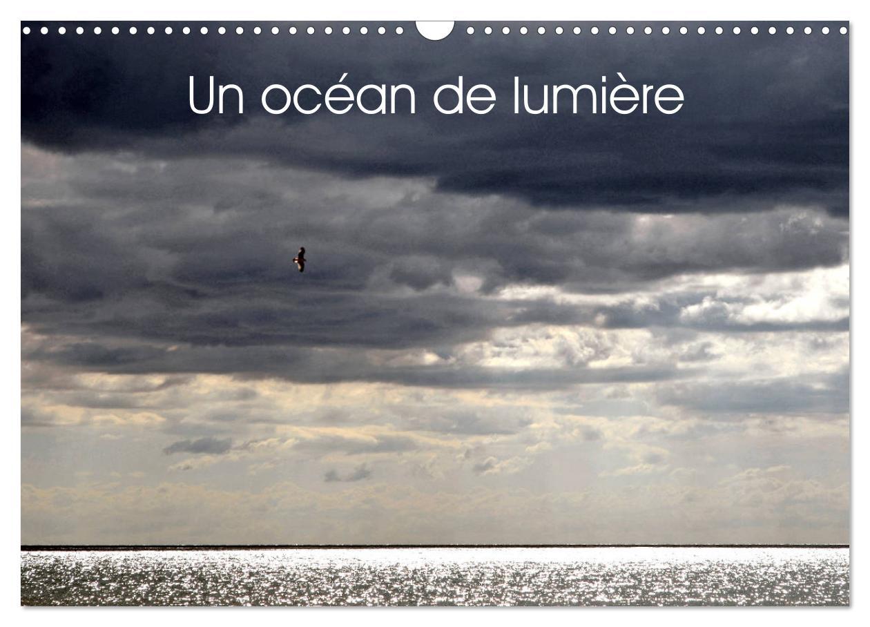 Un océan de lumière (Calendrier mural 2026 DIN A3 vertical), CALVENDO calendrier mensuel