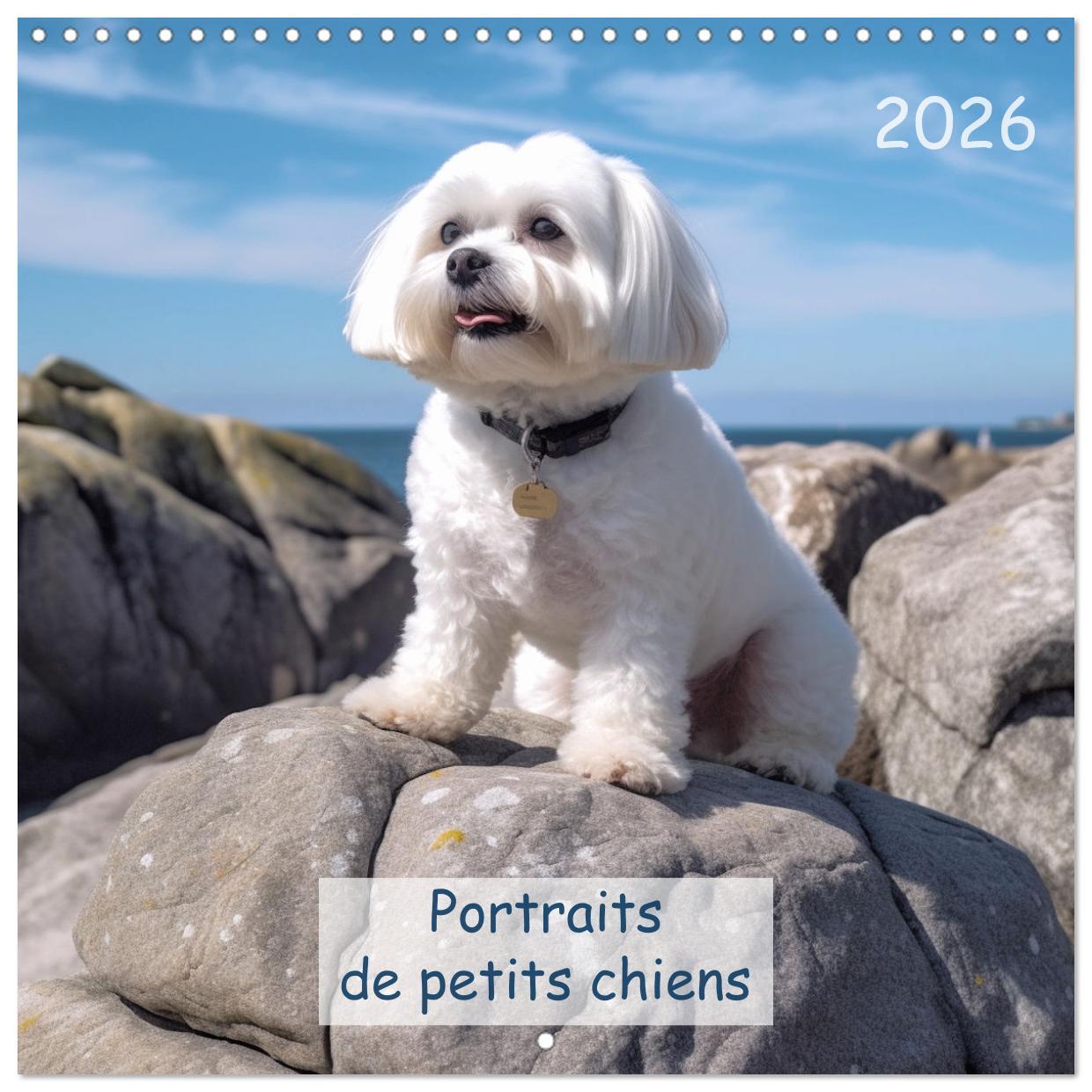 Portraits de petits chiens (Calendrier mural carré 2026 30x30 cm) Calendrier double avec une page pour vos prises de notes