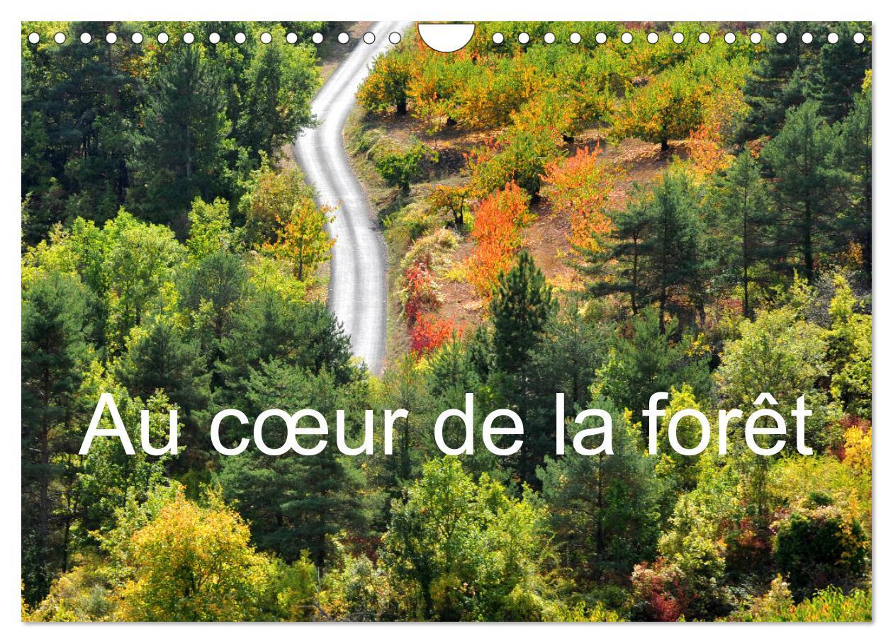 Au coeur de la forêt (Calendrier mural 2026 DIN A4 vertical), CALVENDO calendrier mensuel