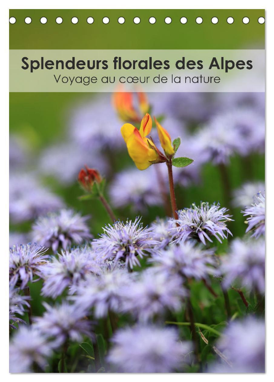 Splendeurs florales des Alpes - Voyage au coeur de la nature (Calendrier de bureau 2026 DIN A5 horizontal), CALVENDO calendrier mensuel