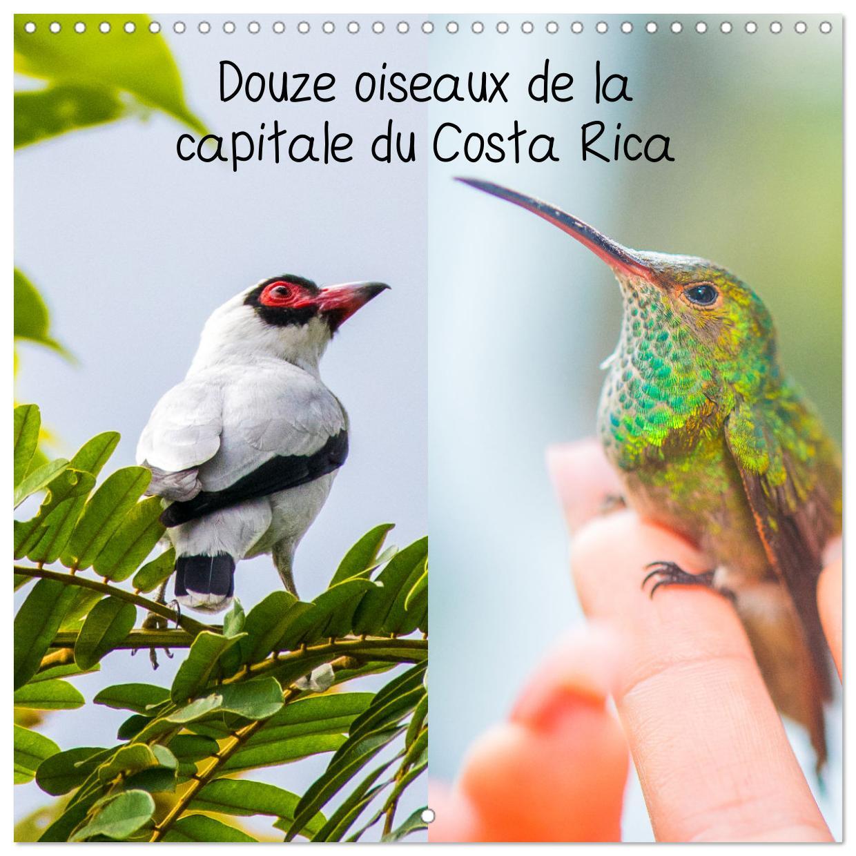 Douze oiseaux de la capitale du Costa Rica (Calendrier mural carré 2026 30x30 cm) Calendrier double avec une page pour vos prises de notes