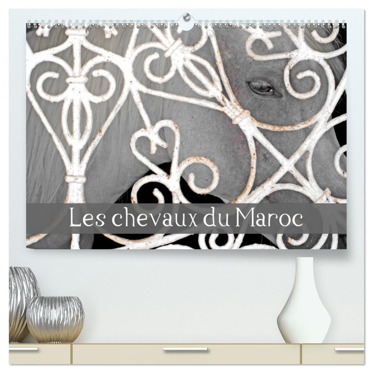 Les chevaux du Maroc  (Calendrier mural 2026 DIN A2 vertical) calendrier de bureau