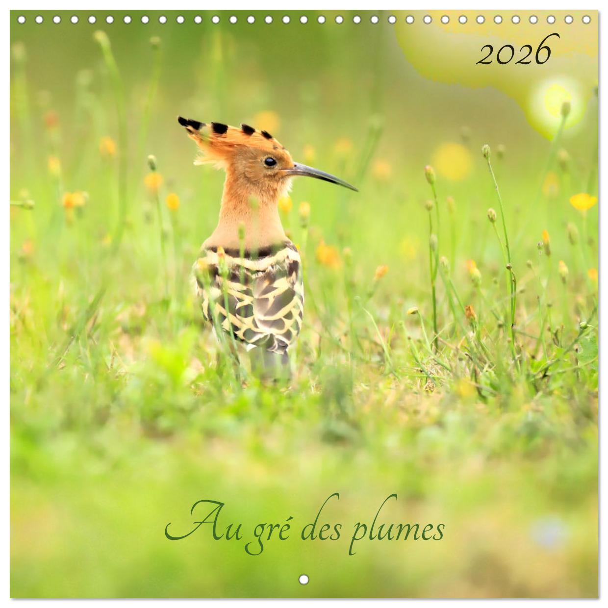 Au gré des plumes (Calendrier mural carré 2026 30x30 cm) Calendrier double avec une page pour vos prises de notes