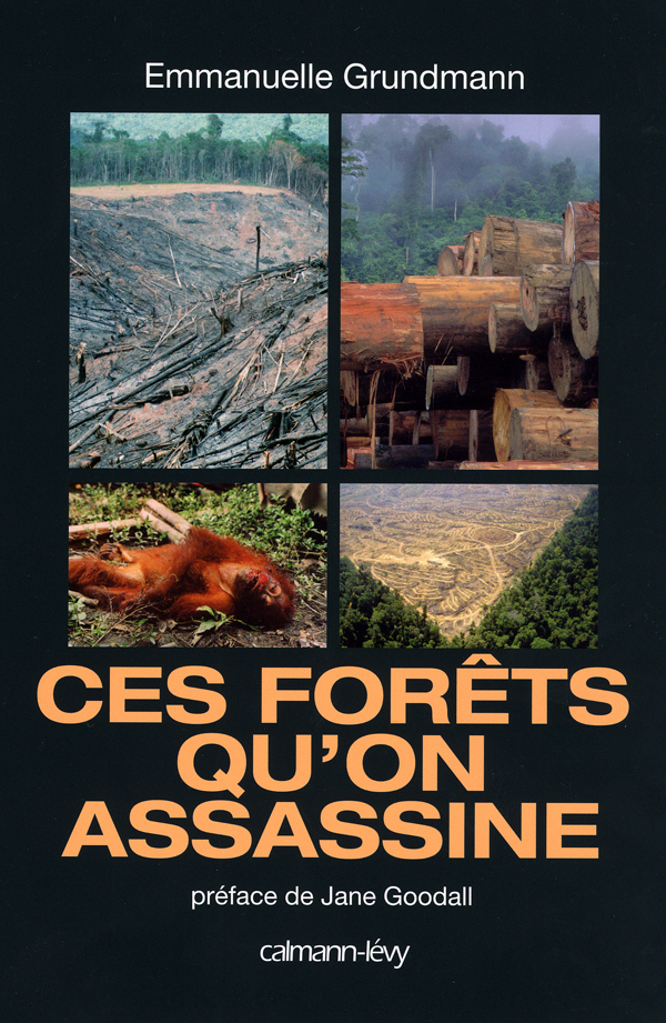 Ces forêts qu'on assassine