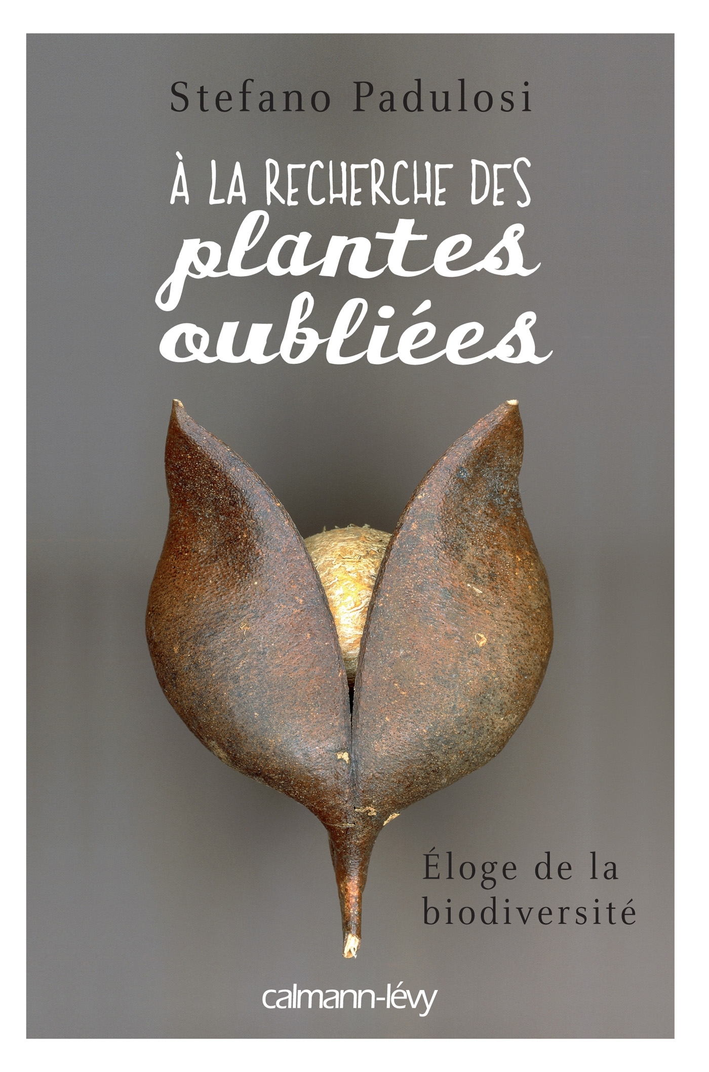A LA RECHERCHE DES PLANTES OUBLIEES
