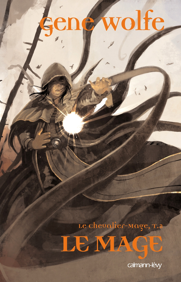 Le Chevalier Mage, t2 : Le mage