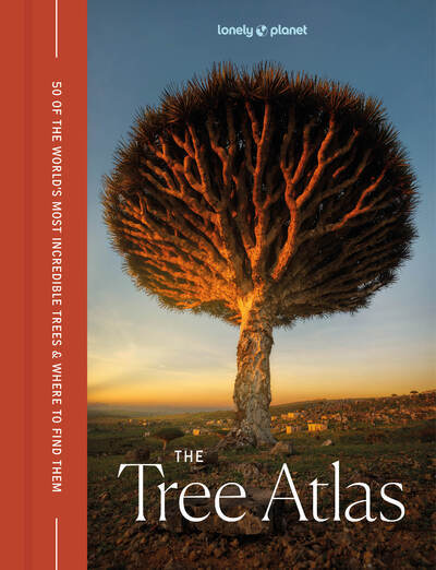The Tree Atlas 1ed -anglais-