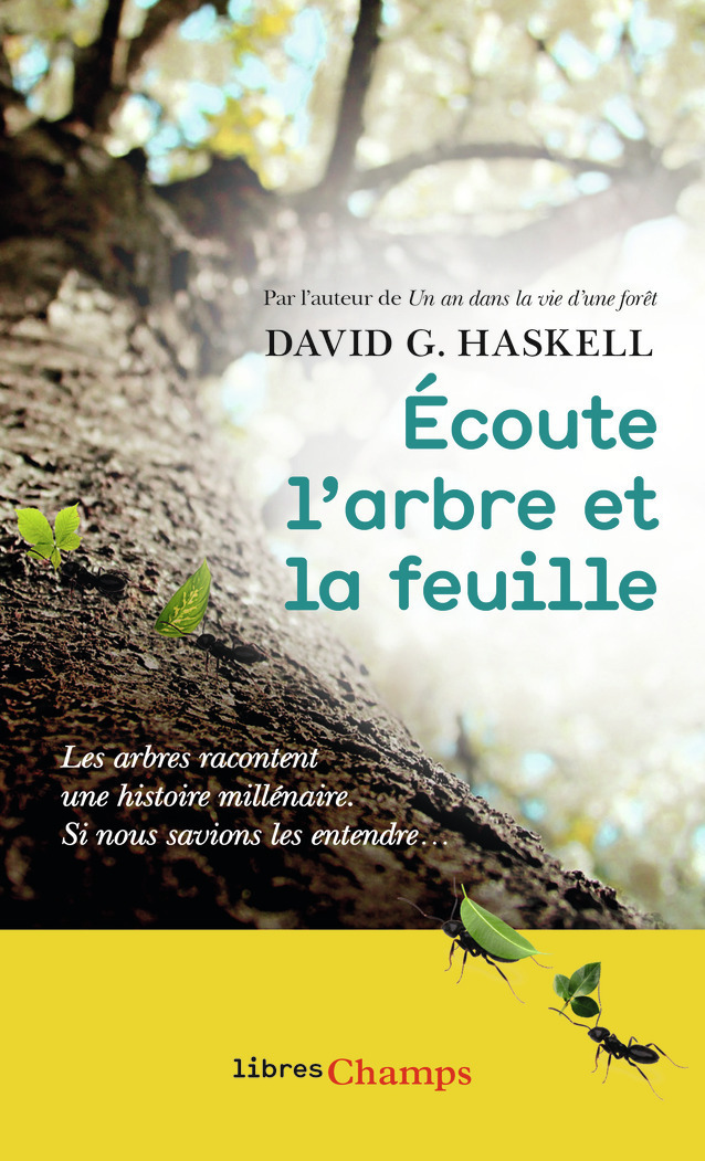 Écoute l'arbre et la feuille