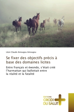 Se fixer des objectifs precis A base des domaines licites