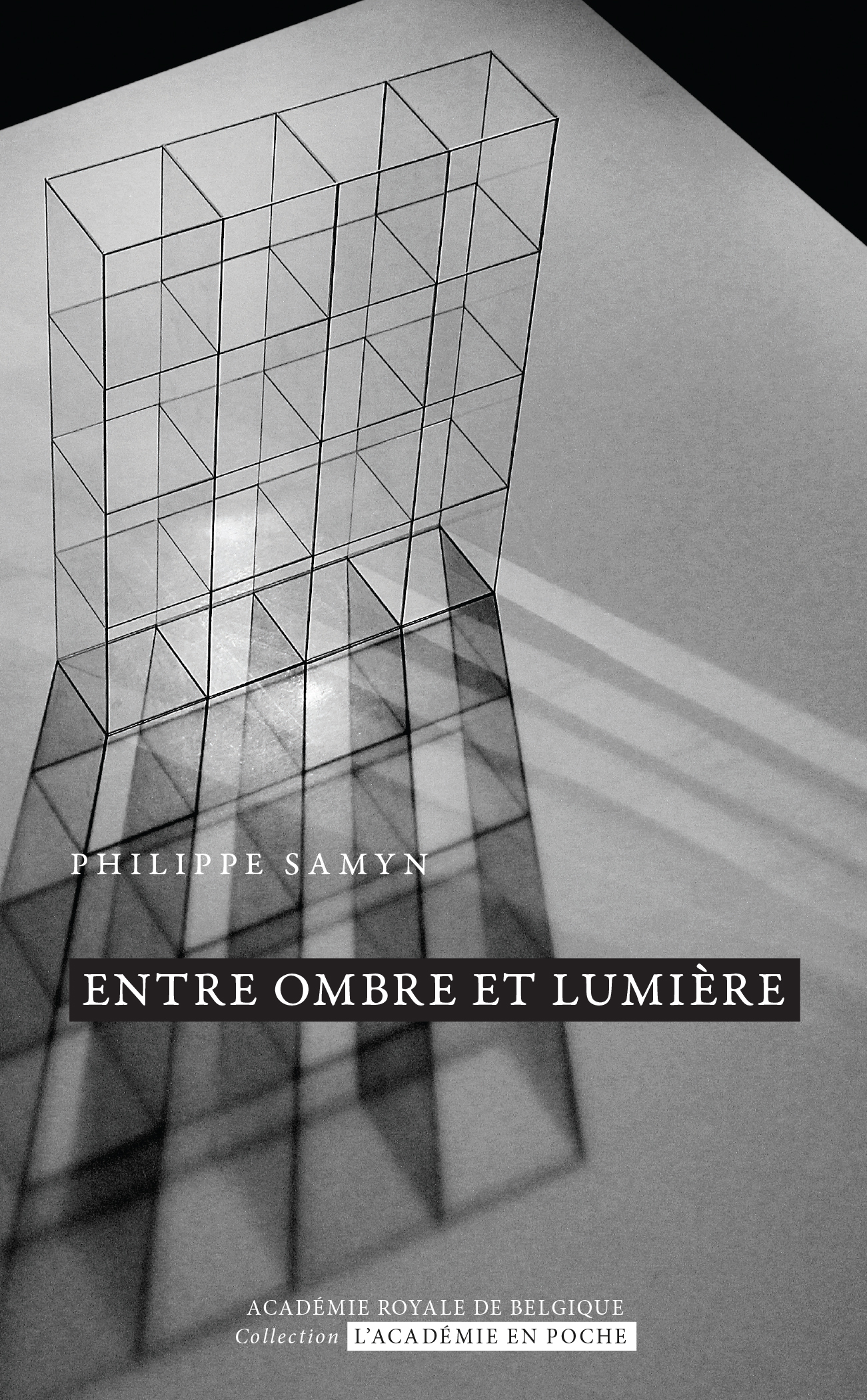 Entre ombre et lumière, transparence et reflet