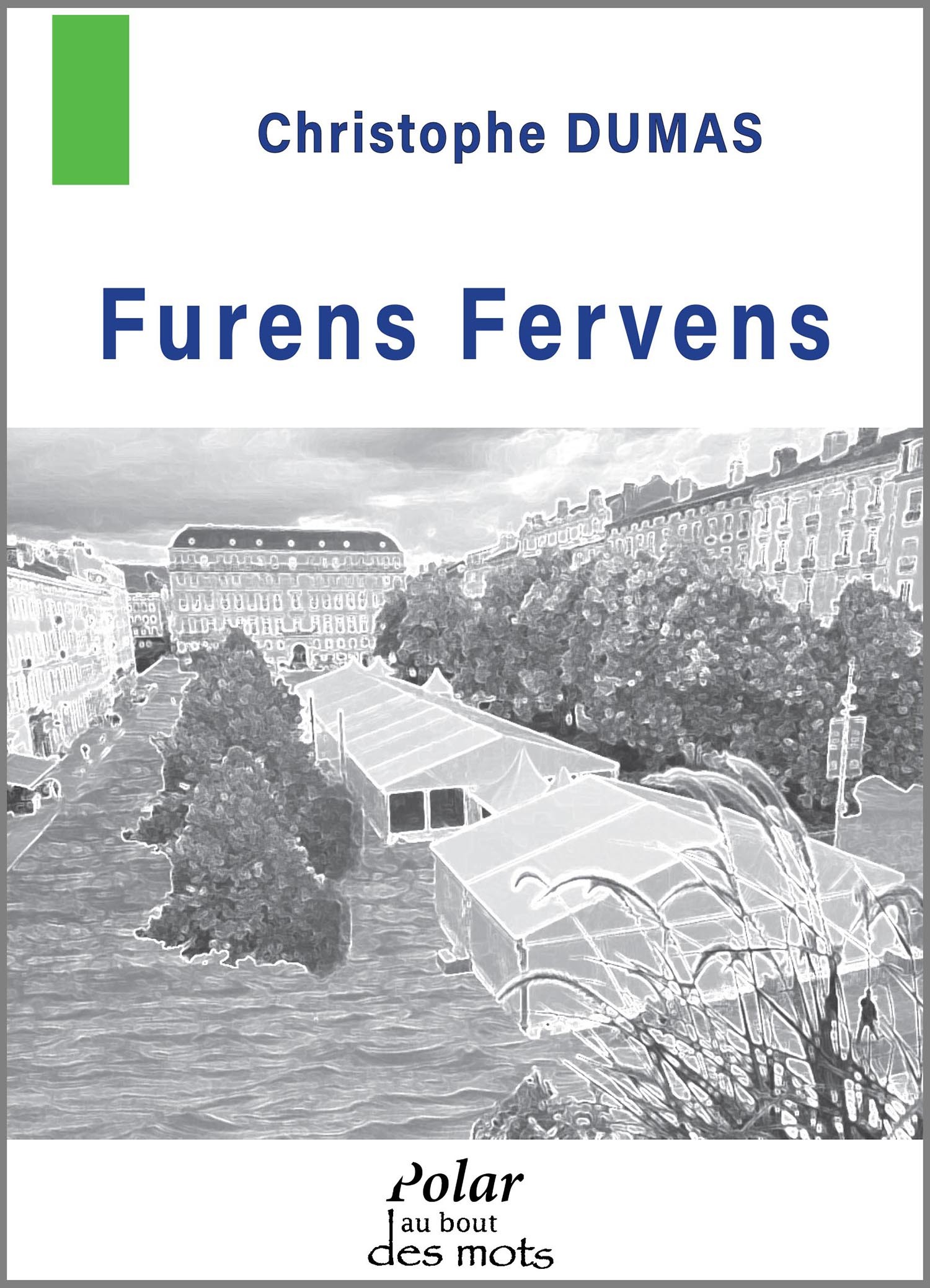 Furens Fervens