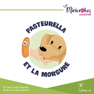 Pasteurella et la morsure