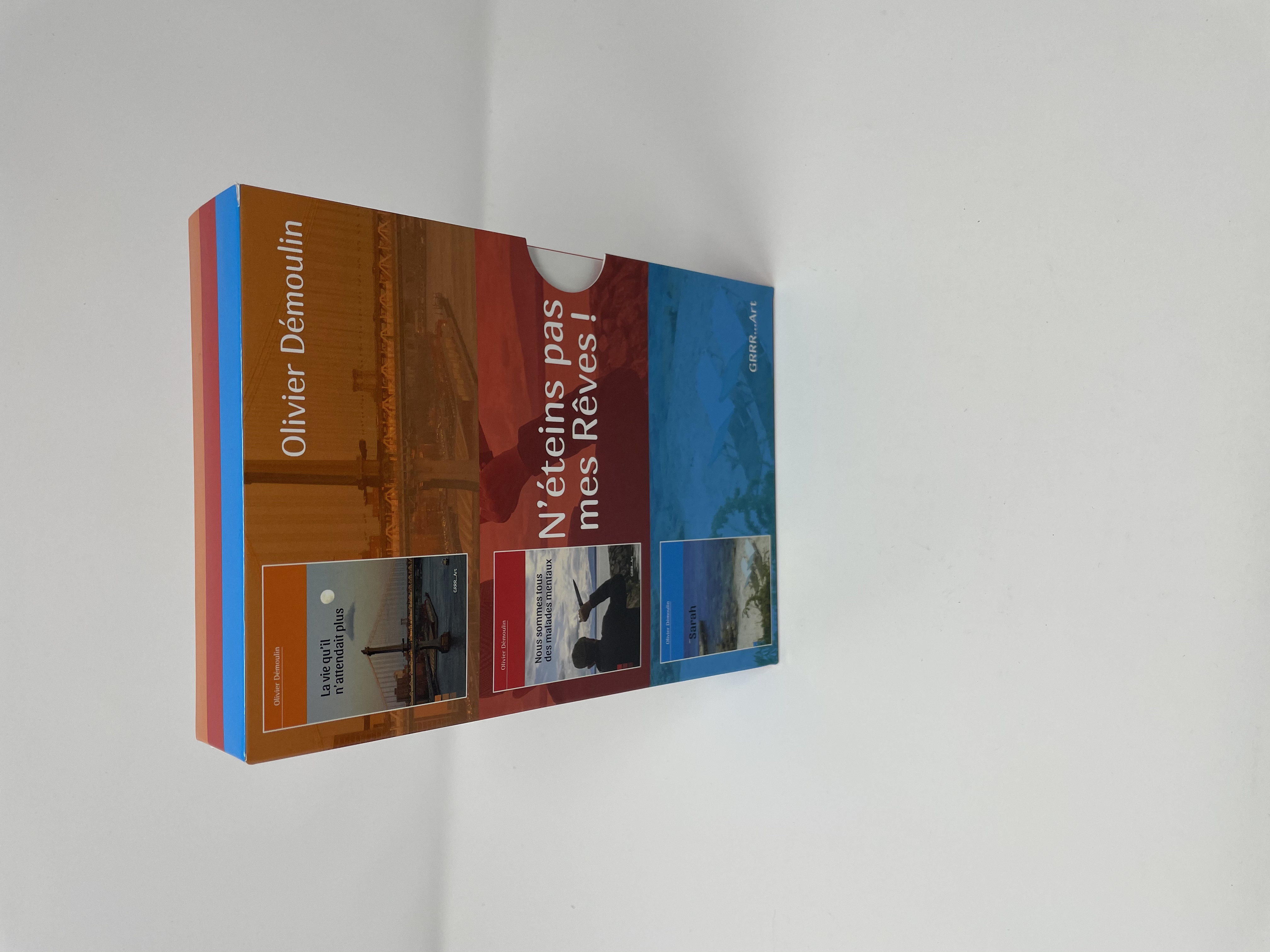 N'ETEINS PAS MES REVES : NOUS SOMMES TOUS DES MALADES MENTAUX, SARAH ET LA VIE QU'IL N'ATTENDAIT PLU