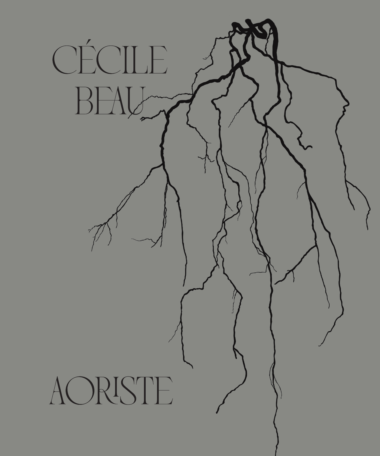 Cécile Beau - Aoriste