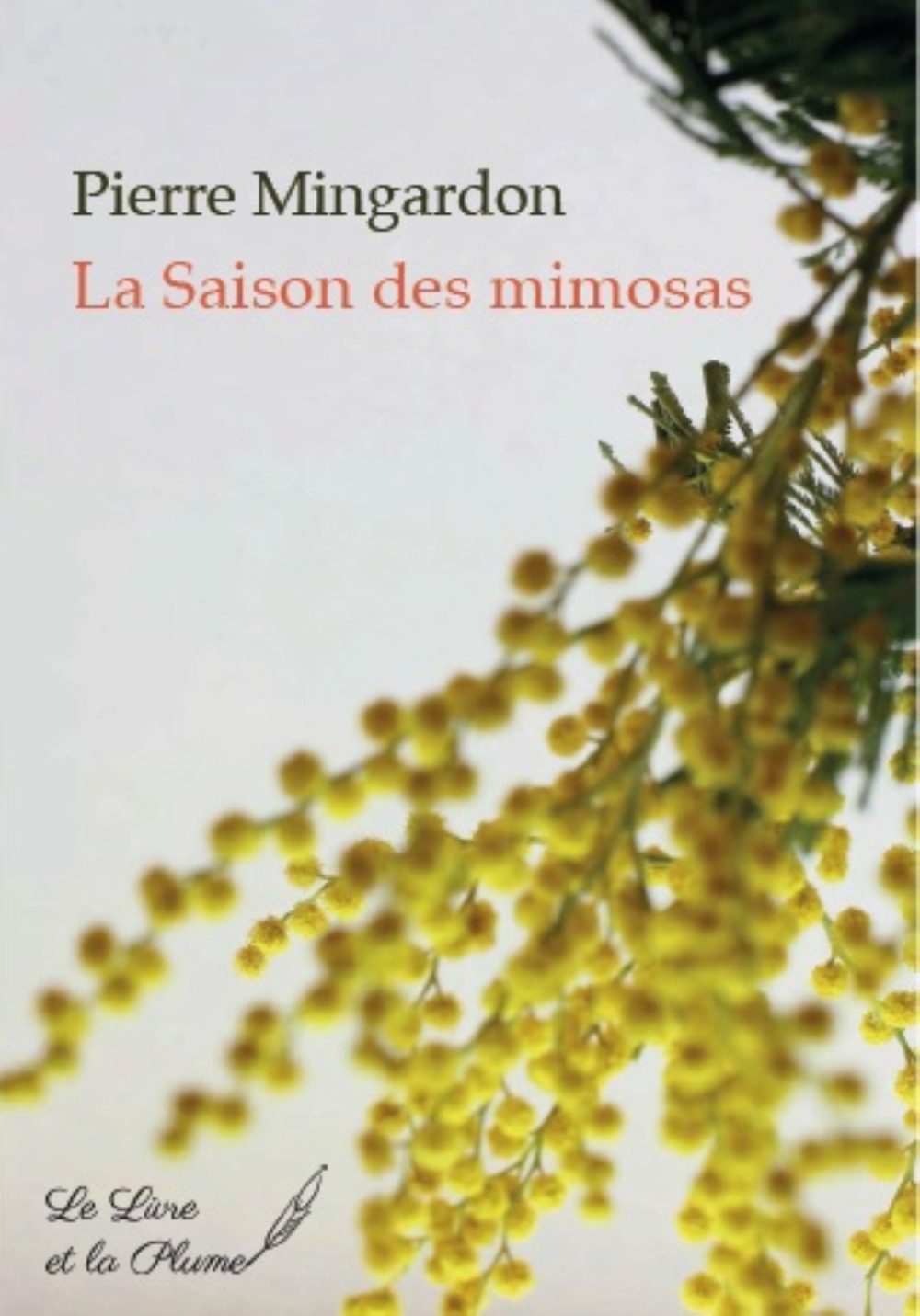La saison des mimosas