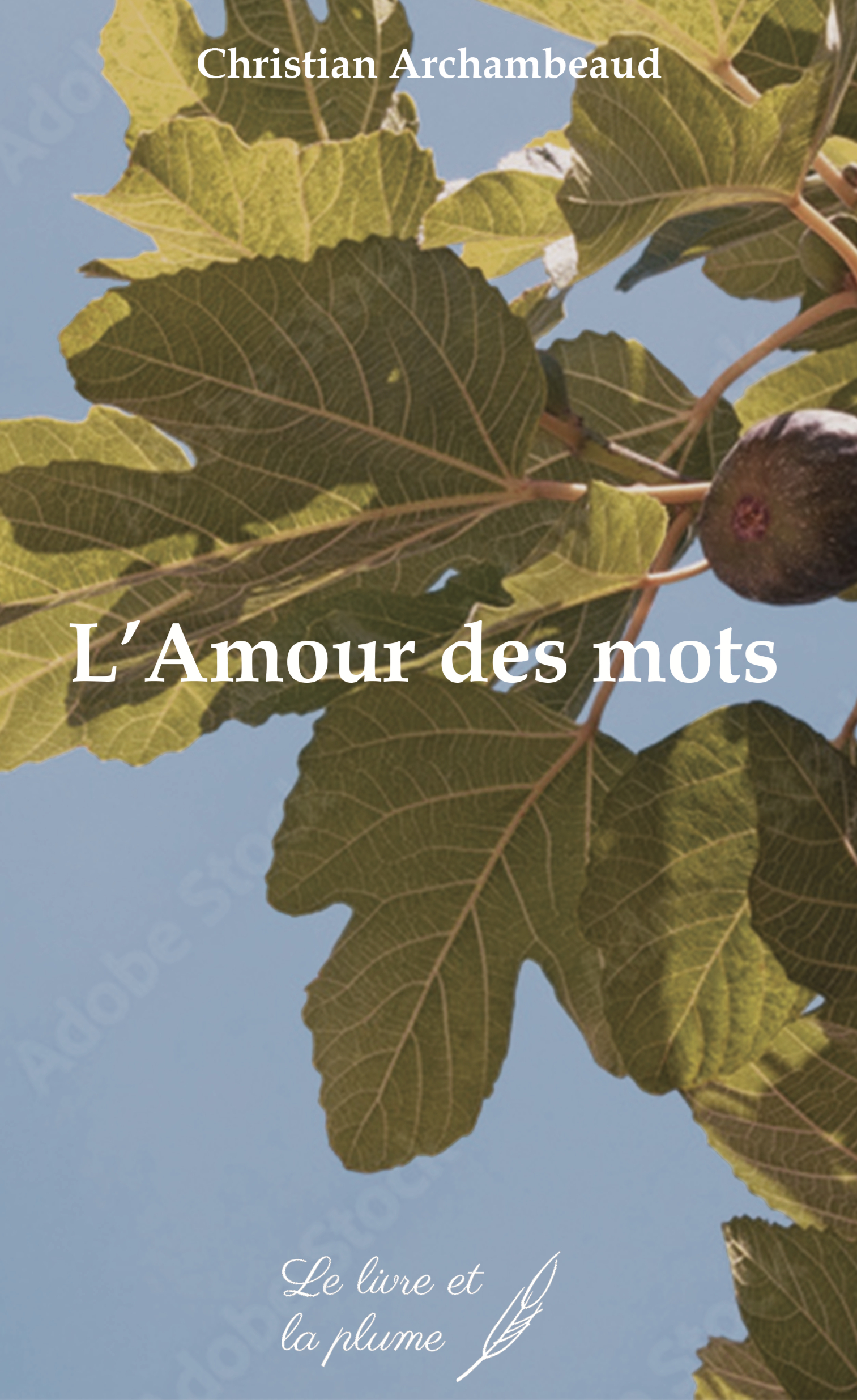 L'AMOUR DES MOTS