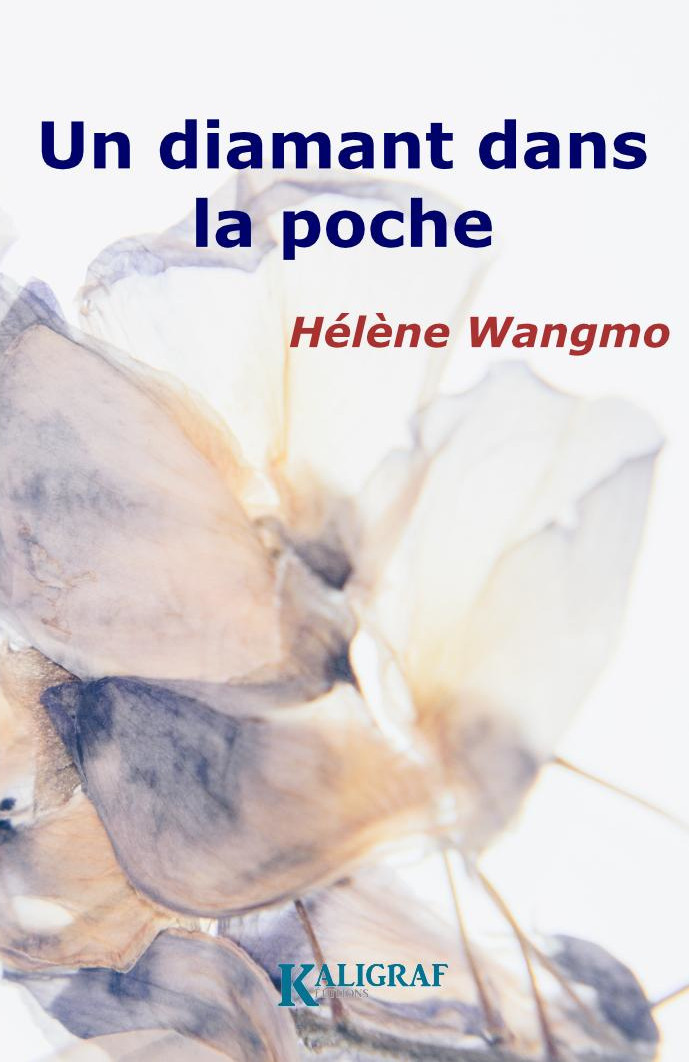 Un diamant dans la poche - 2de édition