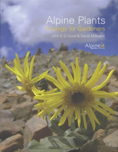 Alpine Plants
