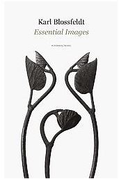 Karl Blossfeldt Essential Images (voir 9780500544754) /anglais