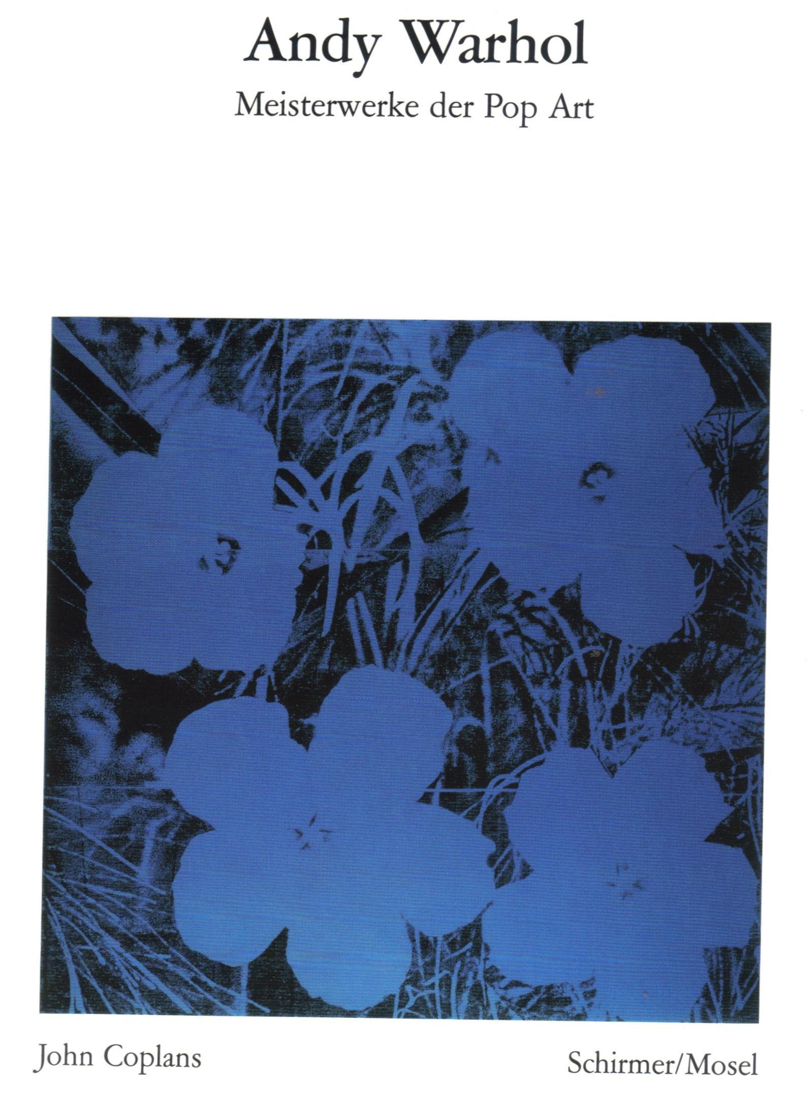 Andy Warhol (Bibliotheque Visuelle) /allemand