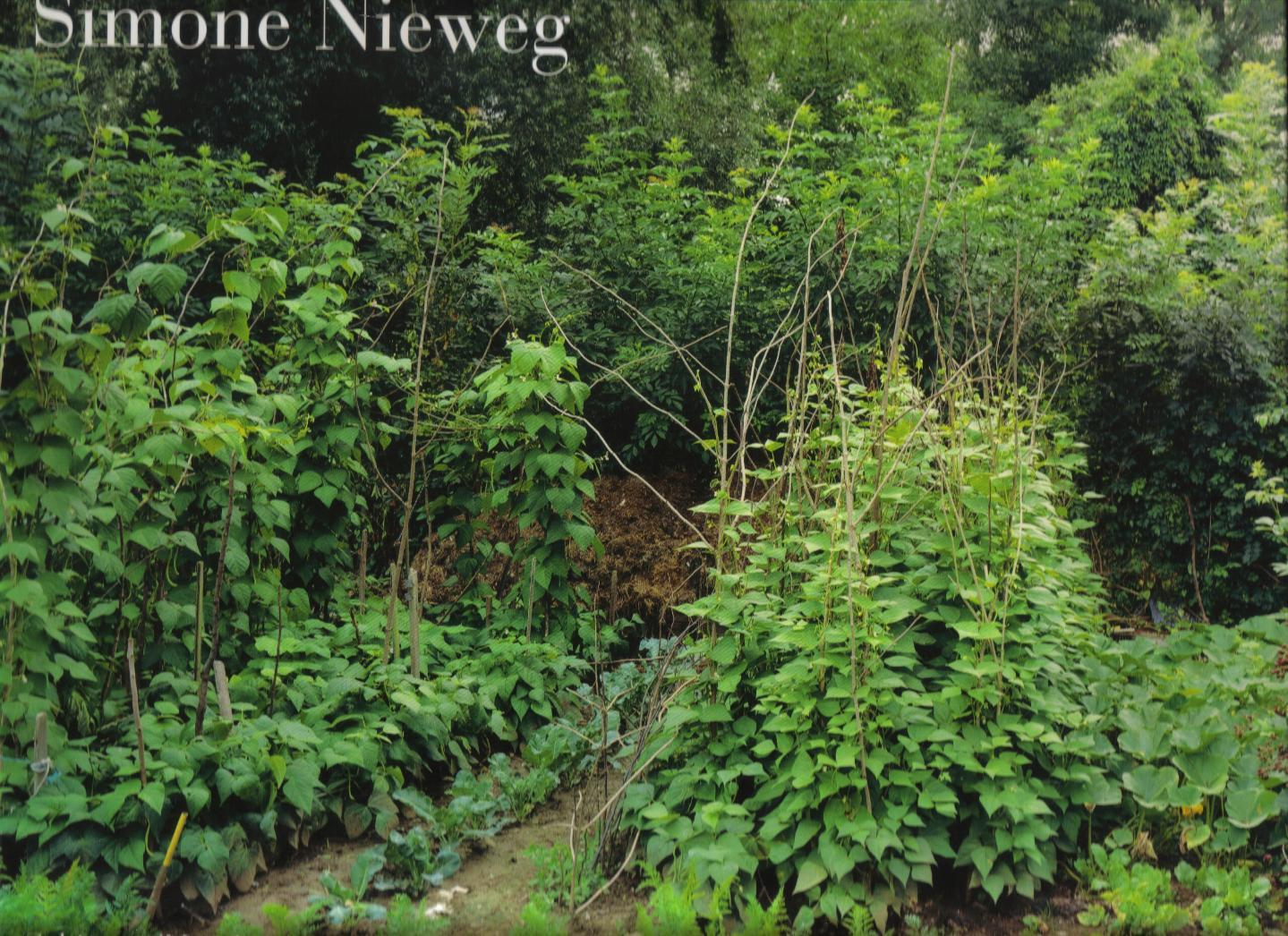 Simone Nieweg Nature Man-made /anglais/allemand