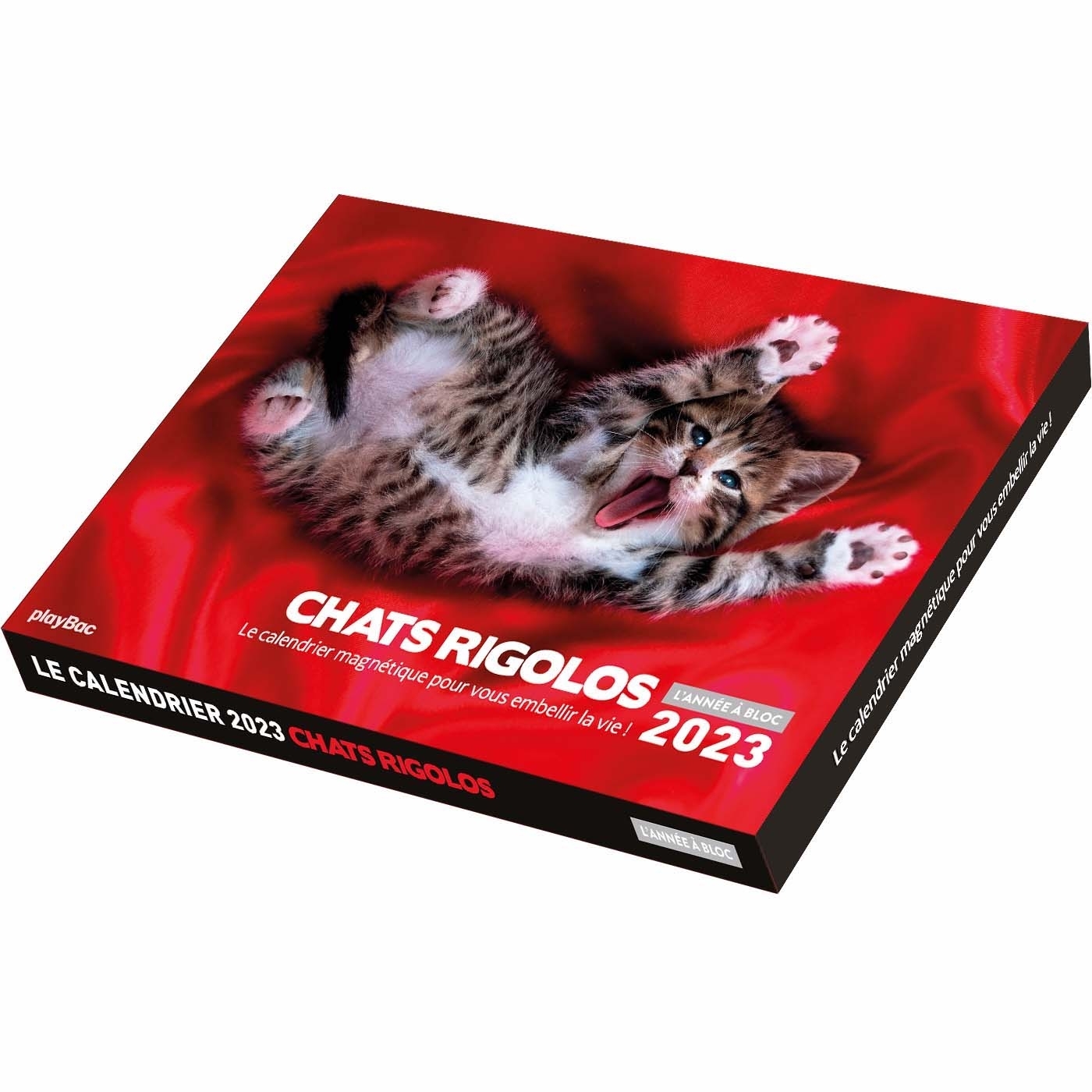 Calendrier photos 2023 Chats rigolos - L'Année à Bloc (de janv. à déc. 2023)