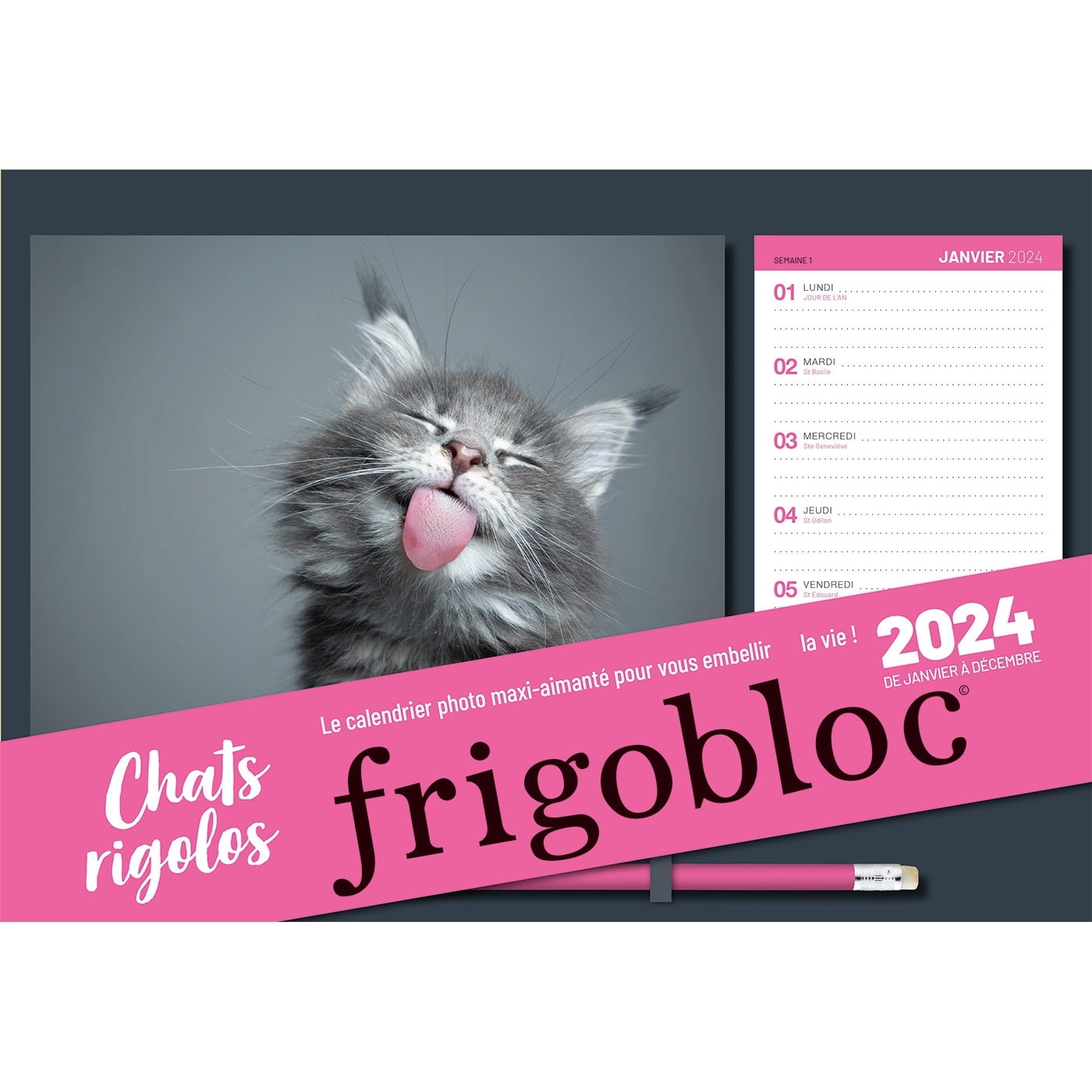 Frigobloc photos Chats rigolos 2024 (de janv. à déc. 2024)