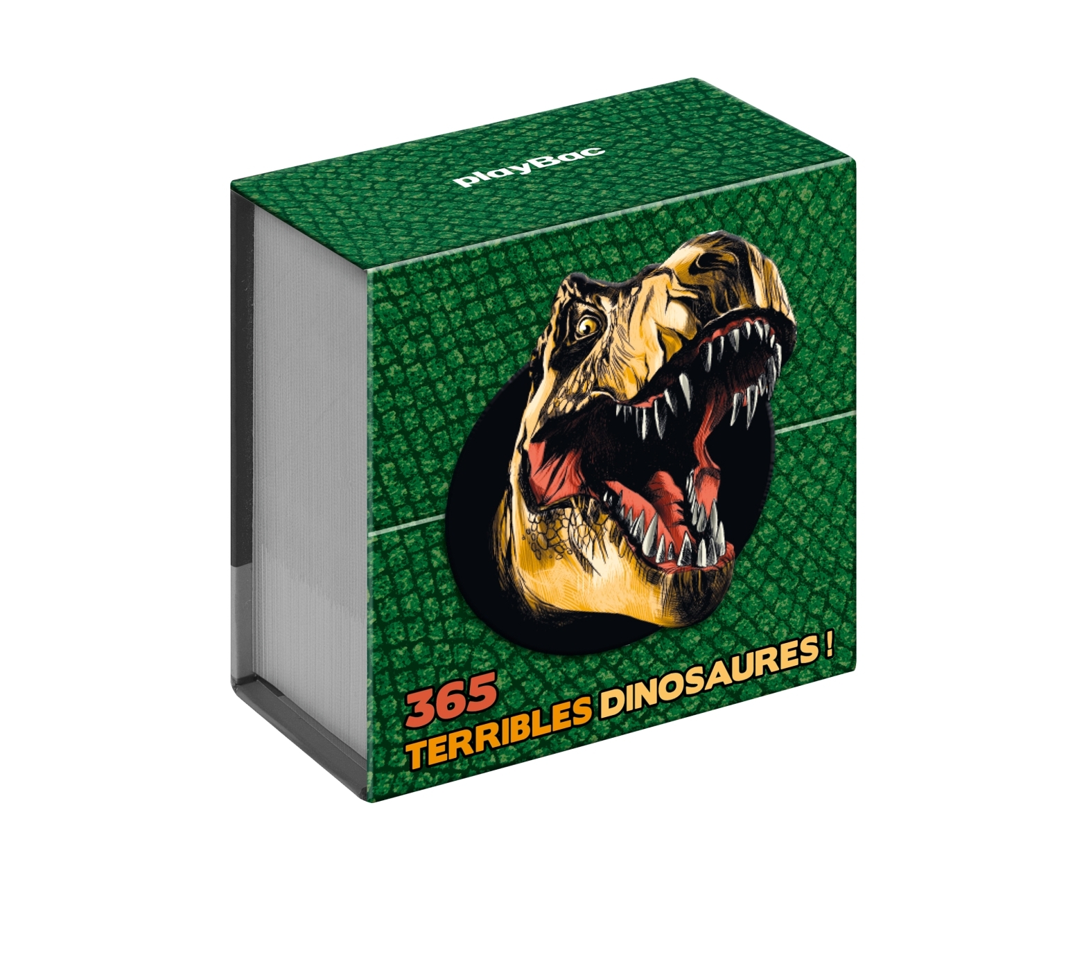 Mini calendrier - 365 jours avec les dinosaures