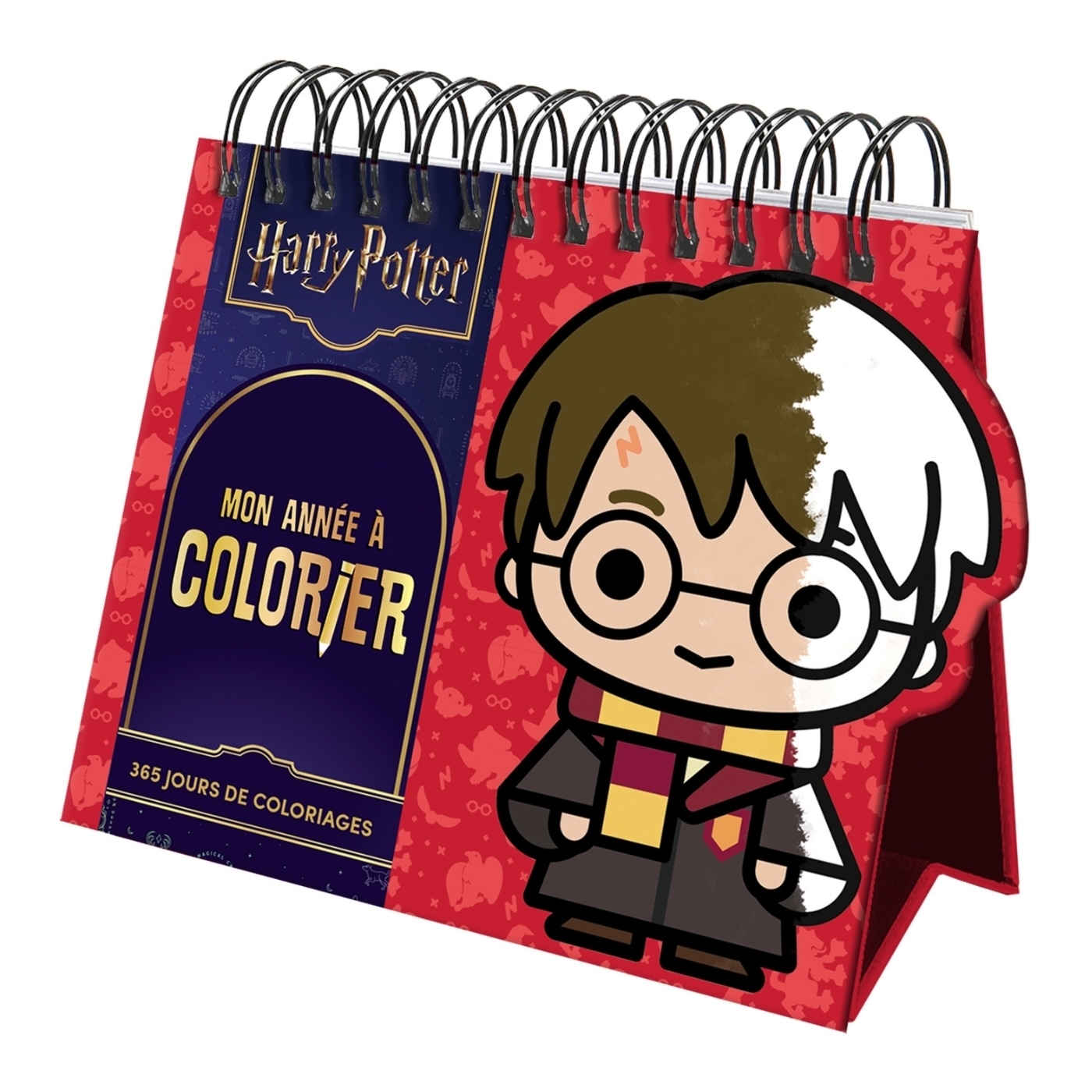 Harry Potter Mon année à colorier