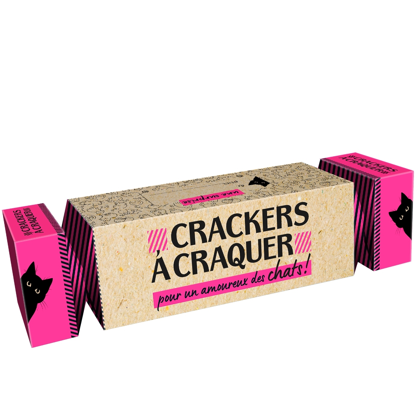 Crackers pour un amoureux des Chats