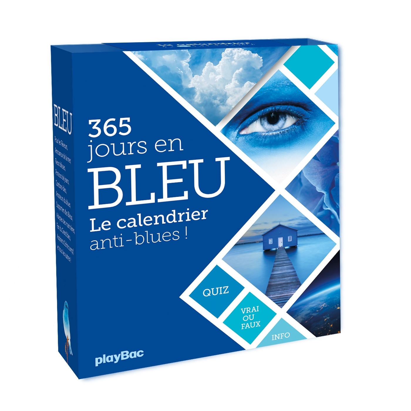 Calendrier 365 jours en bleu