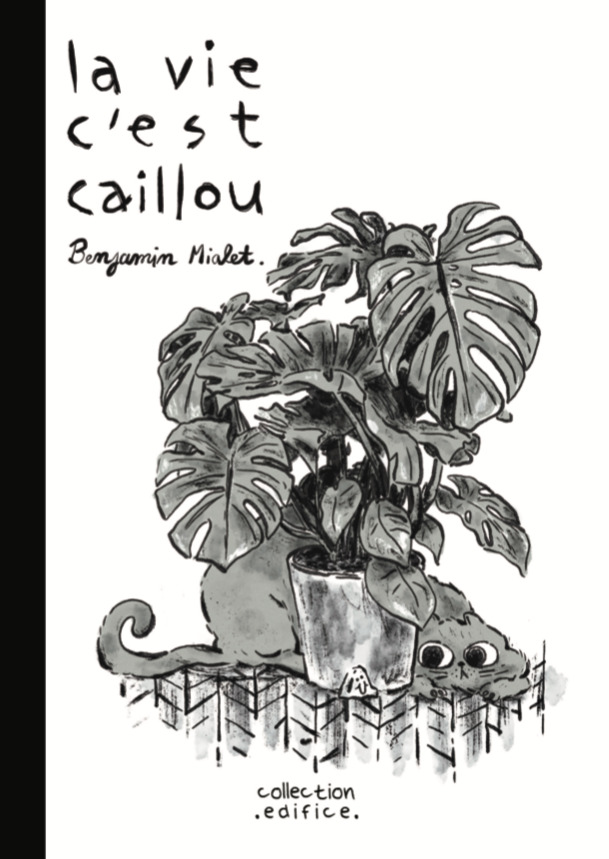 La vie c'est caillou