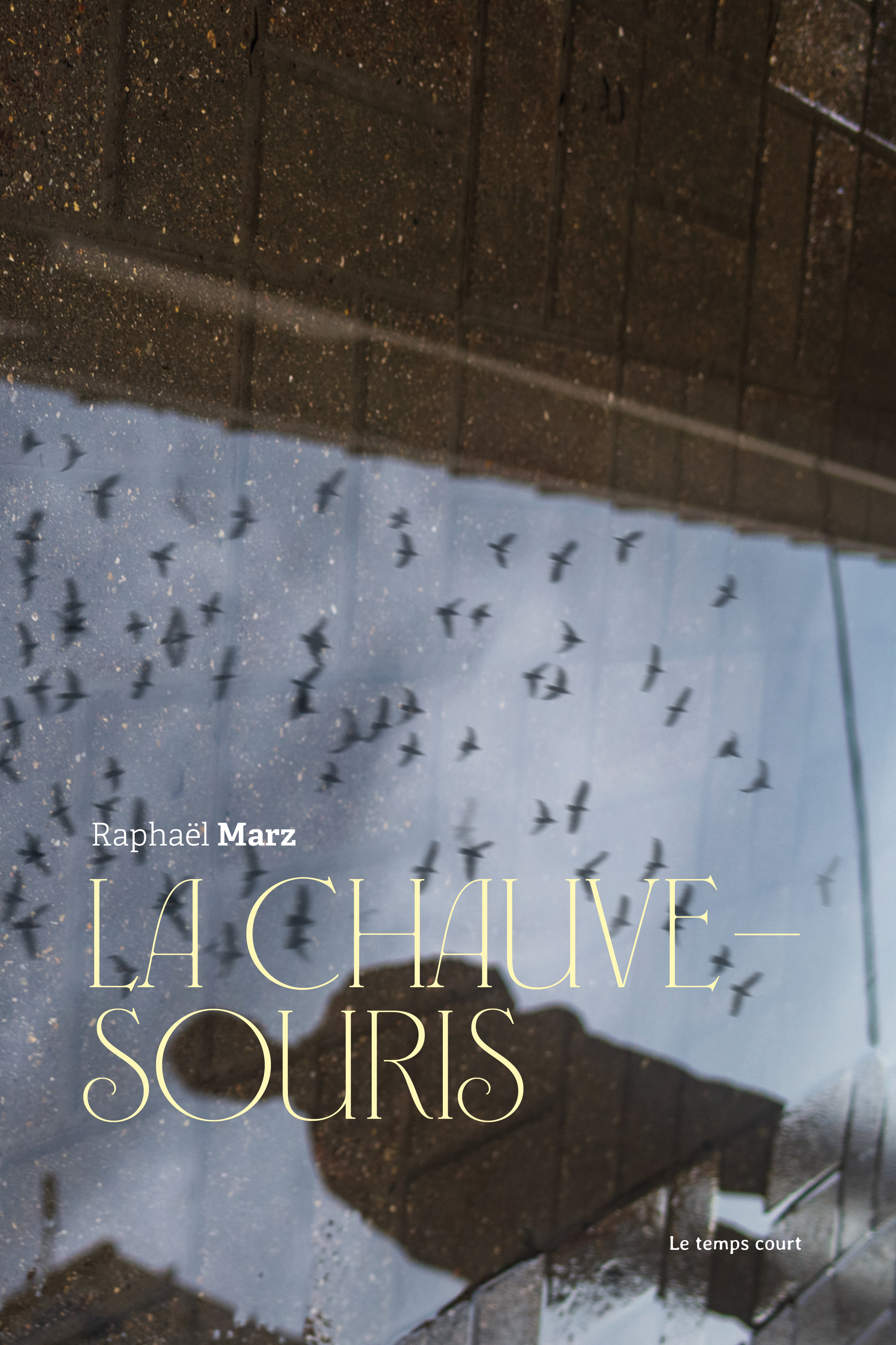 La chauve-souris