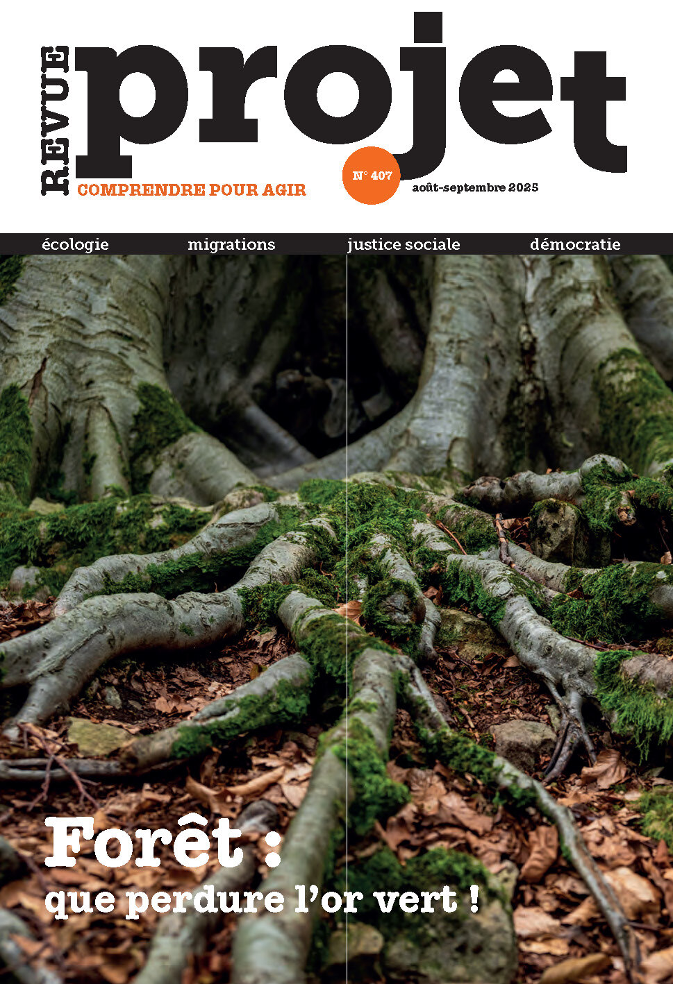 Revue Projet N°407 : Forêt : que perdure l'or vert ! - Août - Septembre 2025