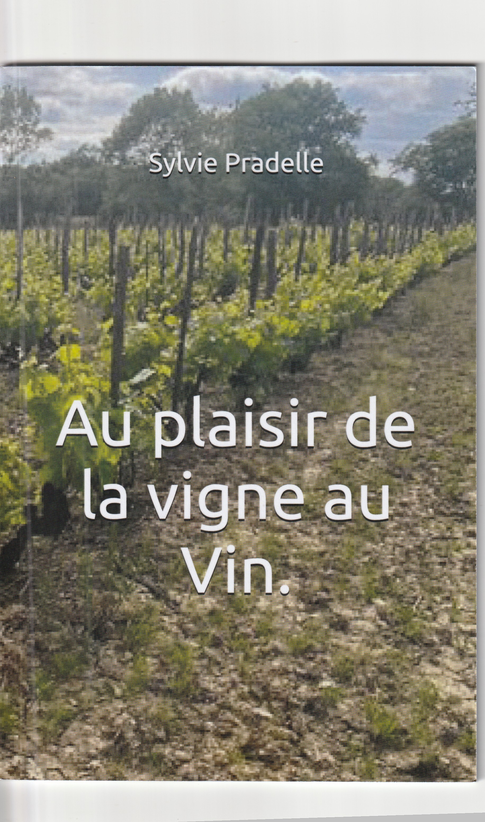 Au plaisir de la vigne au Vin.