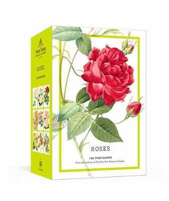 Roses 100 Postcards /anglais