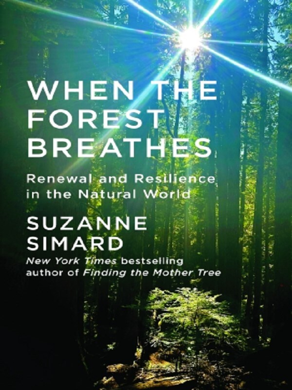 When the Forest Breathes