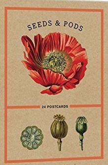 Seeds and Pods /anglais