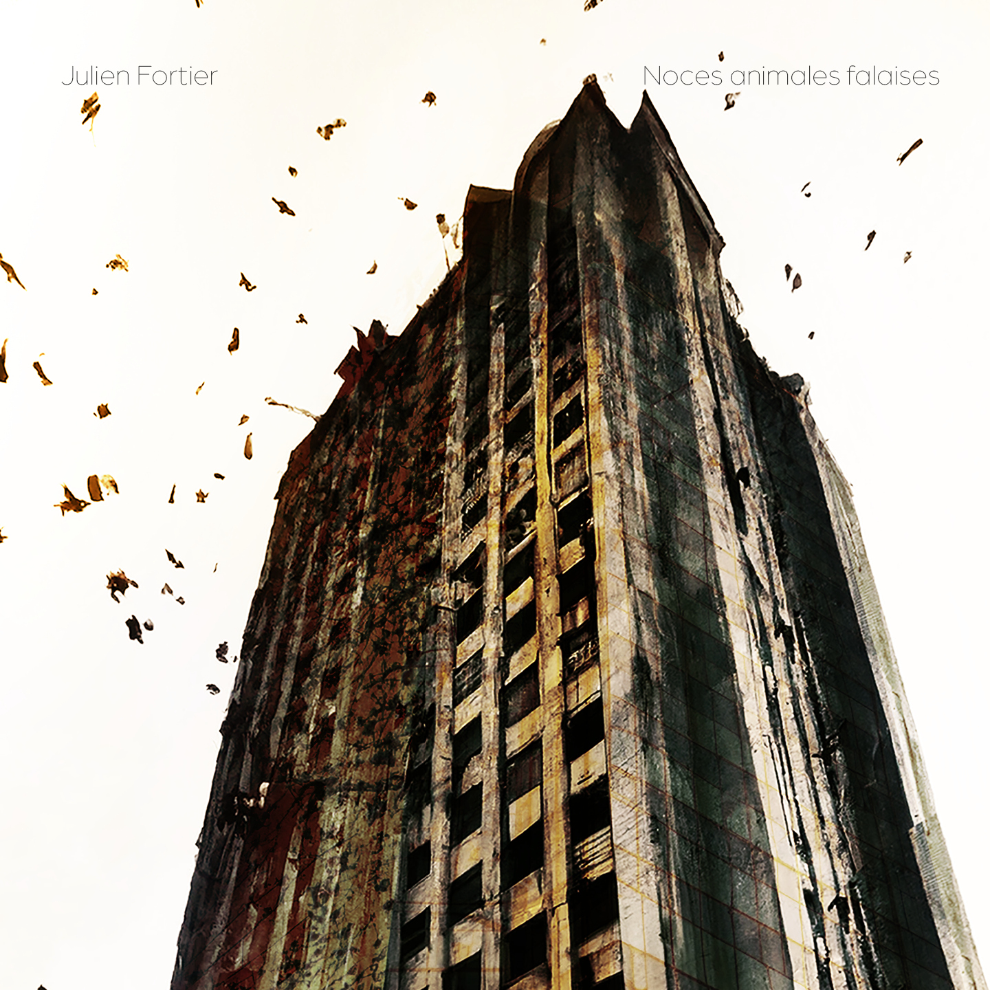 NOCES ANIMALES FALAISES